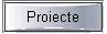 Proiecte_MetalButton