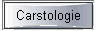 Carstologie_MetalButton